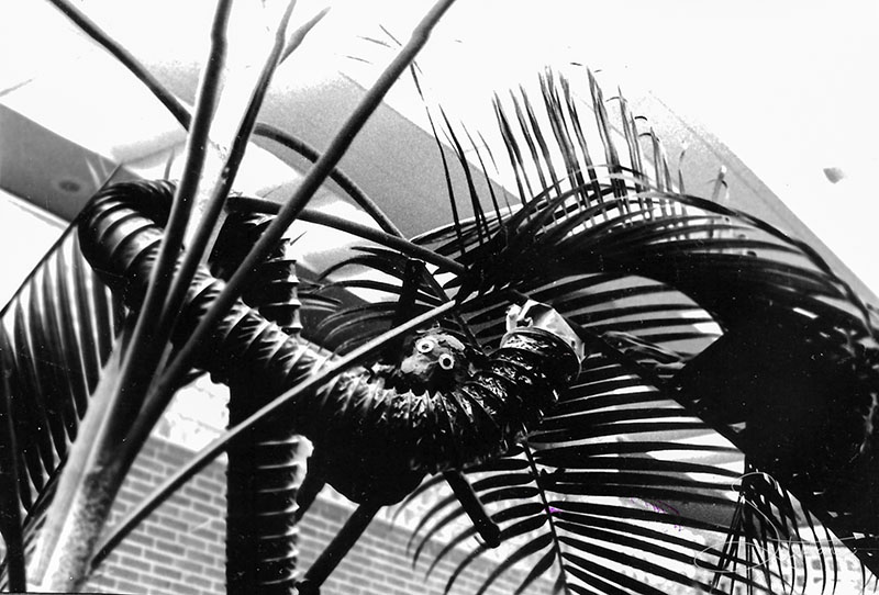 Photograph of a jungle display from James Bowie High School in Arlington, Texas. Taken in late 2000.