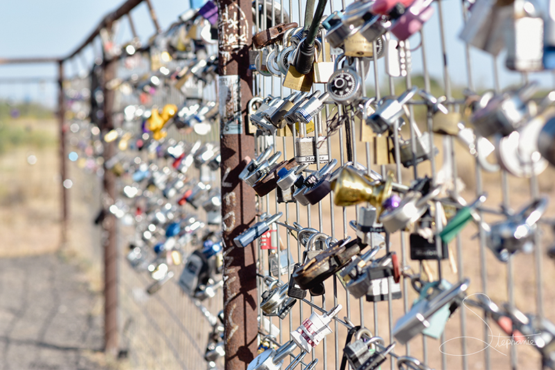 Locks on a fence in Marfa, Texas.