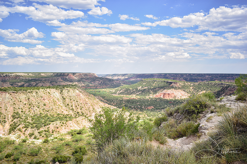 Palo Duro Canyon State Park.