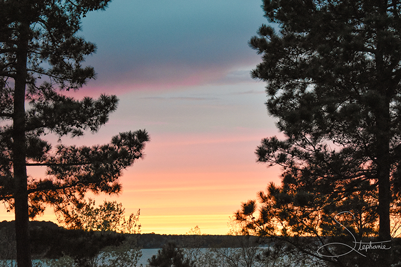 Sunset at Cooper Lake State Park Texas.