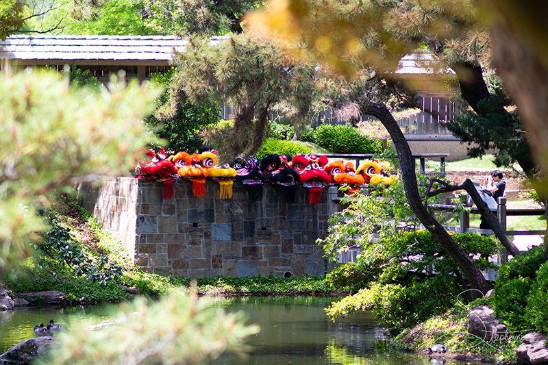 Dragon heads at the Japanese Gardens, Fort Worth Botanic Garden.