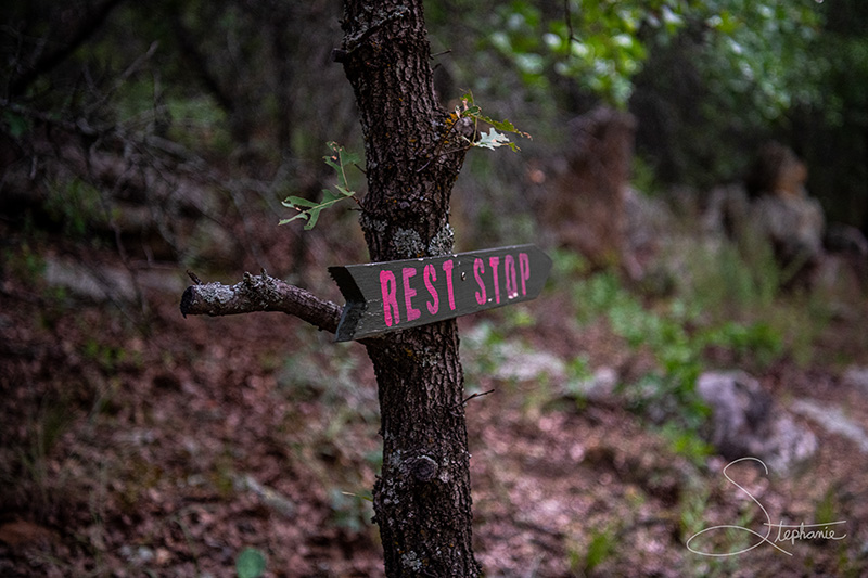 Rest stop sign at the old Cisco Zoo.