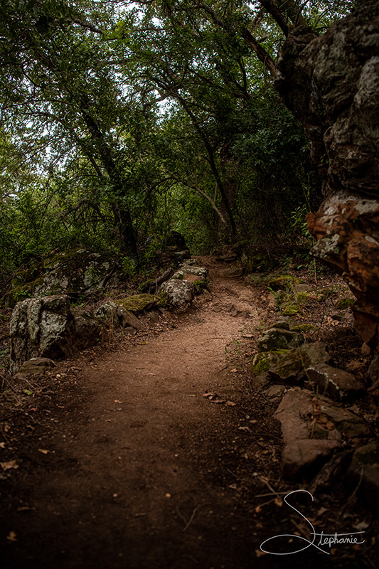 Dirt trail before a storm at the Old Cisco Zoo.