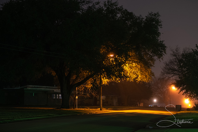 A neighborhood on a foggy night.