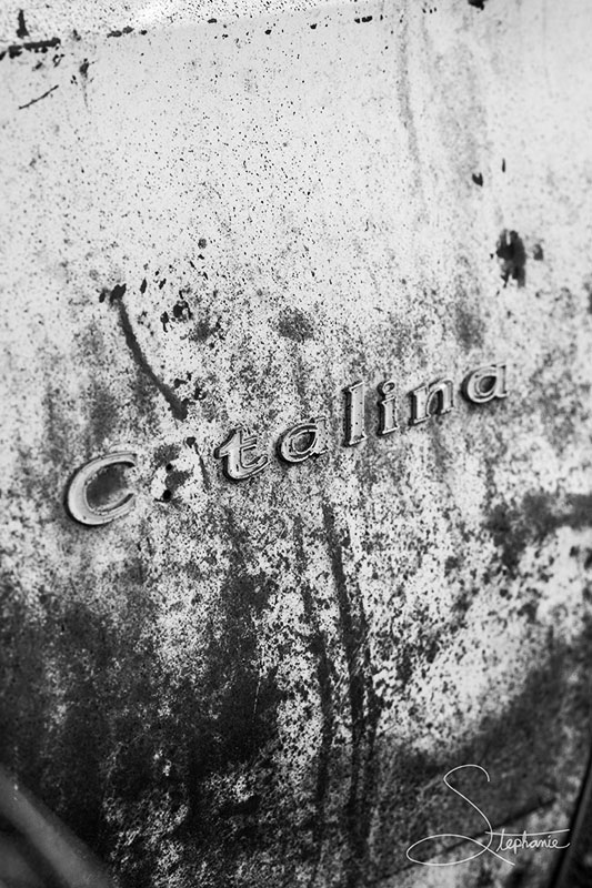 Catalina decal on an old Pontiac.