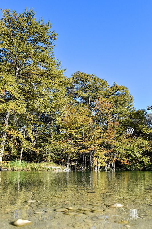 Smooth water at a park.